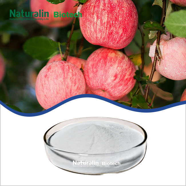 Apple Powder Apple Powder